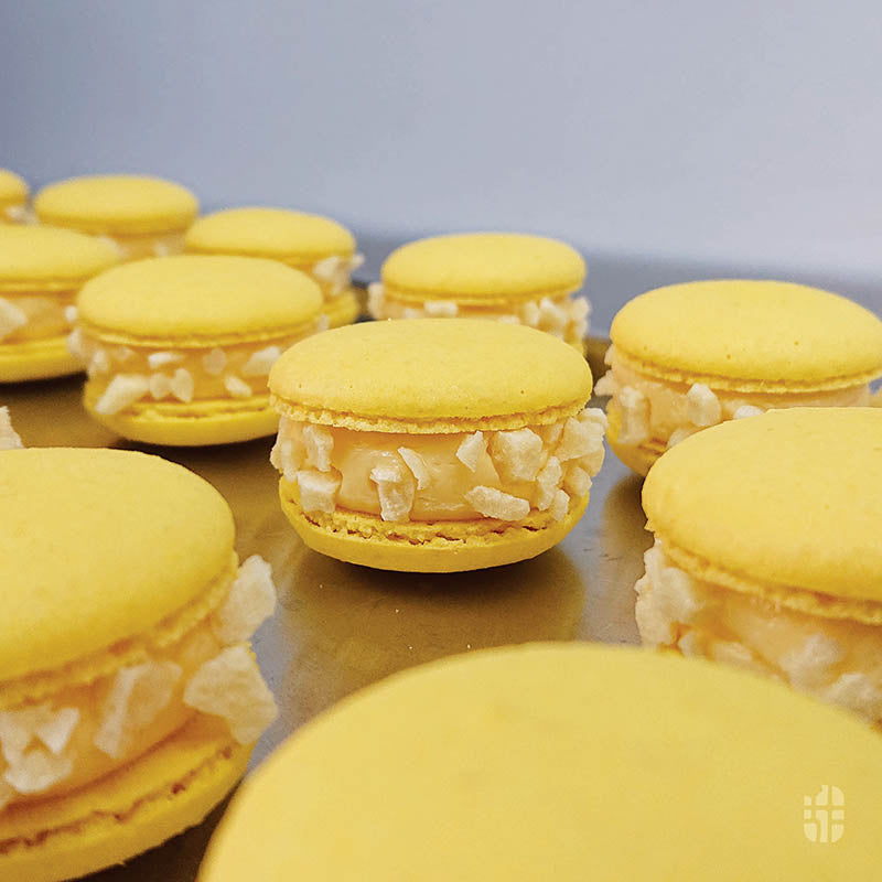 椰香菠蘿馬卡龍 Baby Pina Colada Macaron