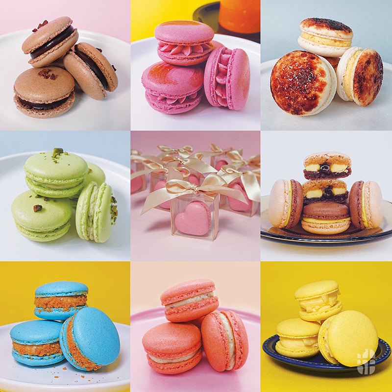 幸運馬卡龍盒 Lucky Macaron Box